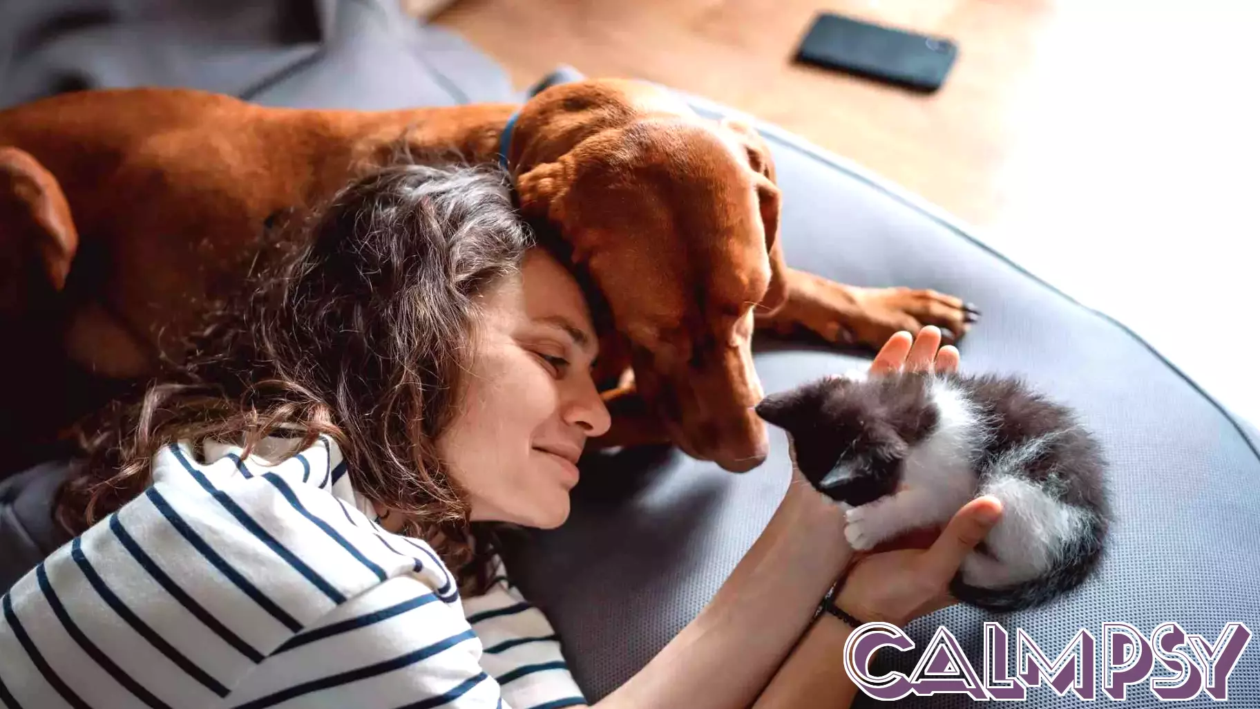 Dog Person or Cat Person? Understanding the Psychology Behind Your Preference